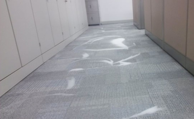如何清洗地毯？地毯清洗的具體步驟詳解