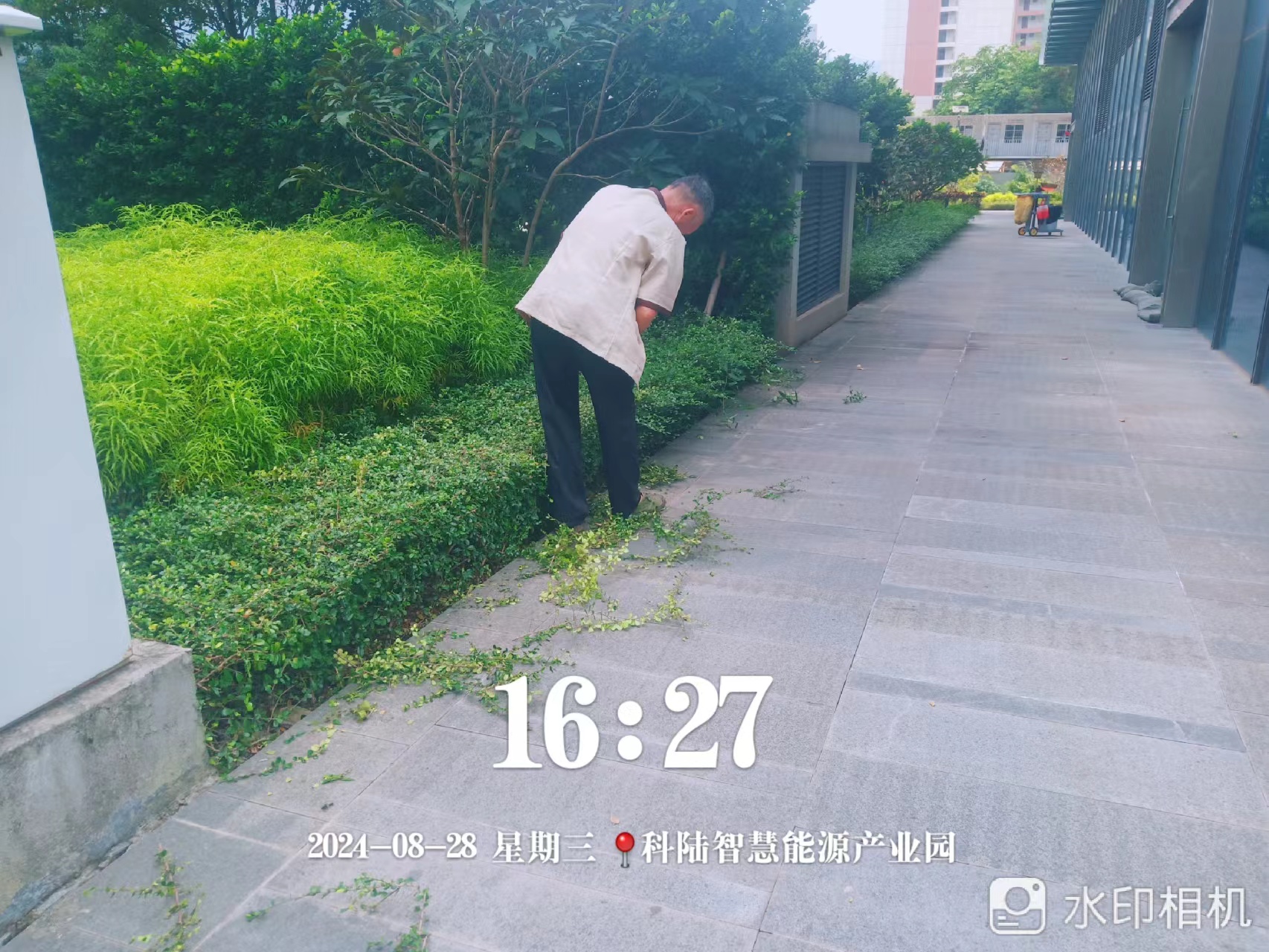 園區保潔員、園林綠化工作人員：揮汗如雨呵護綠色風景線